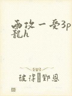 两攻一受3p双龙h