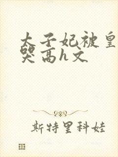 太子妃被皇上c哭高h文