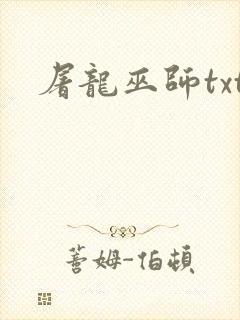屠龙巫师txt