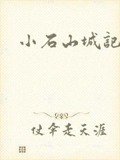 小石山城记