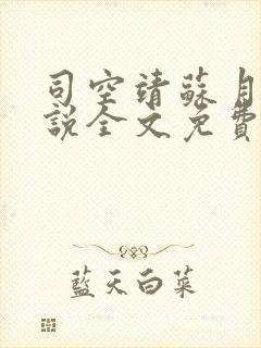 司空靖苏月汐小说全文免费阅读