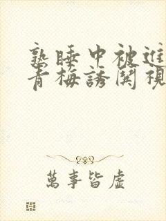 熟睡中被进了H青梅诱哄视频