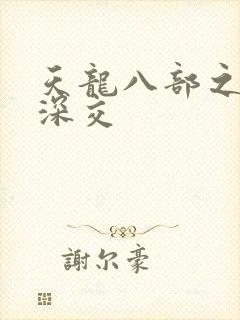 天龙八部之极乐深交封面