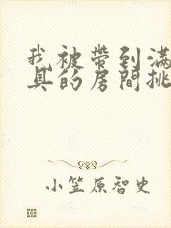 我被带到满是玩具的房间挑调作文