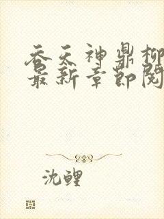 吞天神鼎柳无邪最新章节阅读