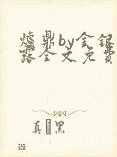 炉鼎by金银花露全文免费阅读笔趣阁