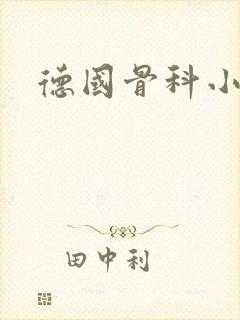 德国骨科小说封面