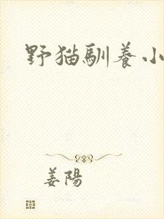 野猫驯养小说封面