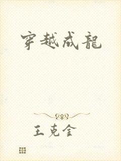 穿越成龙封面