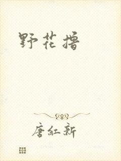 野花撸
