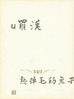 u罗汉封面