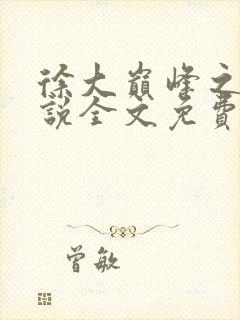 徐大巅峰之路小说全文免费阅读封面