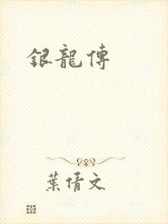 银龙传封面