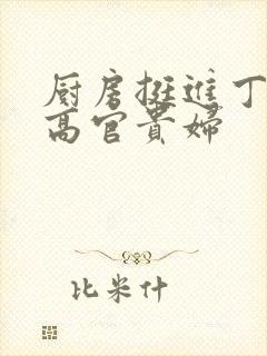 厨房挺进丁字裤高官贵妇