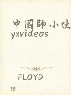 中国帅小伙gayxvideos