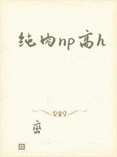 纯肉np高h
