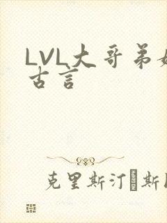 LVL大哥弟媳古言