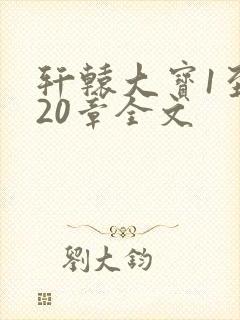 轩辕大宝1至720章全文封面