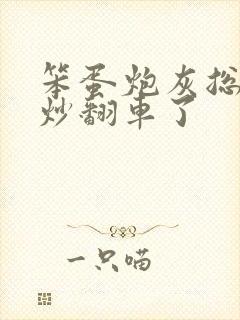 笨蛋炮灰总被爆炒翻车了封面