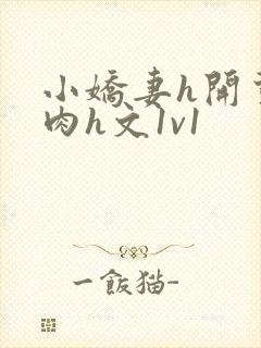 小娇妻h开荤粗肉h文1v1