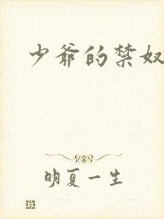 少爷的禁奴封面