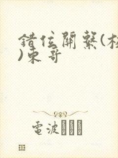 错位关系(校园)东哥封面