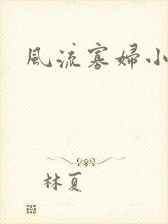 风流寡妇小说