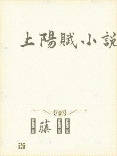 上阳赋小说封面