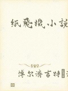 纸飞机小说