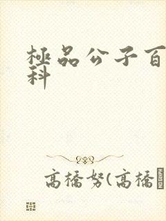 极品公子百度百科