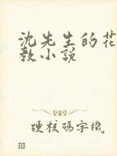 沈先生的花式调教小说封面