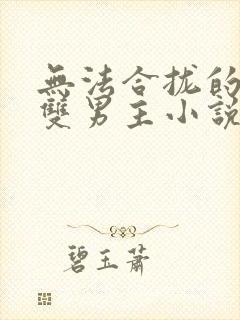 无法合拢的总裁双男主小说