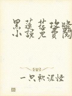 黑莲花攻略手册小说免费阅读全文封面