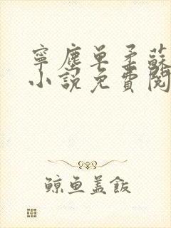 宁尘单柔苏千雪小说免费阅读最新