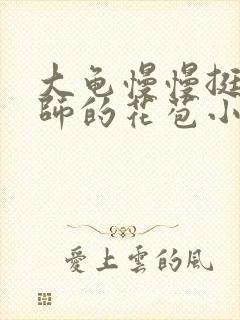 大龟慢慢挺进老师的花苞小说