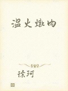 温火炖肉