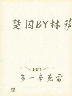 楚囚BY林萨封面