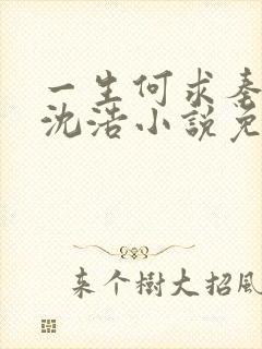 一生何求秦菲雪沈浩小说免费阅读全文