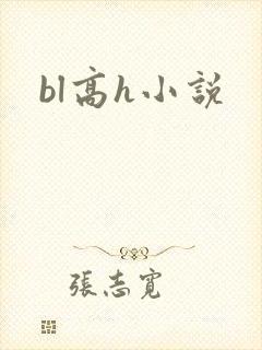 bl高h小说