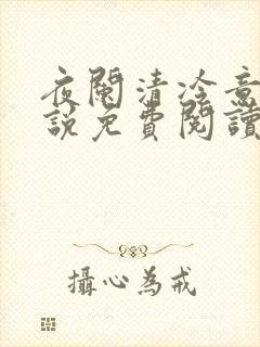 夜阑清冷意欢小说免费阅读