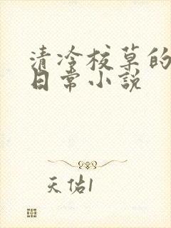 清冷校草的堕落日常小说