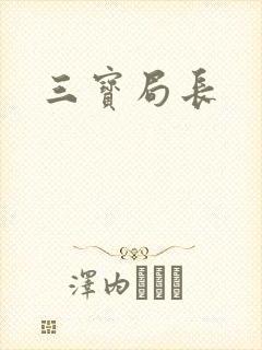 三宝局长封面