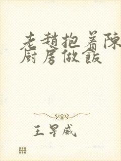 老赵抱着陈婷在厨房做饭封面