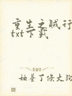 重生之贼行天下txt下载