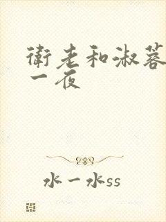 卫老和淑蓉销魂一夜封面