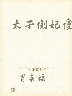 太子侧妃傻乎乎封面