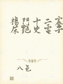 杨门十二寡妇肉床艳史电子书