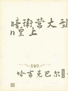 暗卫营大型hpn皇上