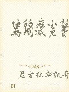 他的瘾小说全文无删减免费阅读