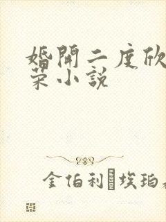 婚开二度欣欣向荣小说